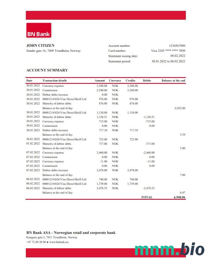 Wyciąg bankowy Norwegia BN Excel i szablon PDF